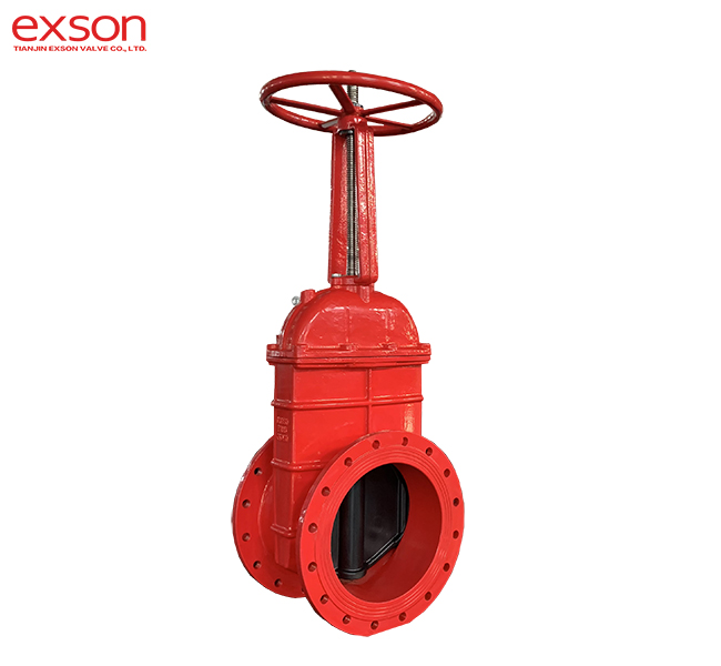 Gate Valve-RS